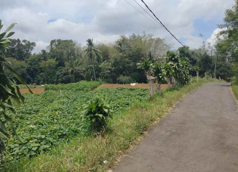 dijual tanah bandorasa kec cilimus