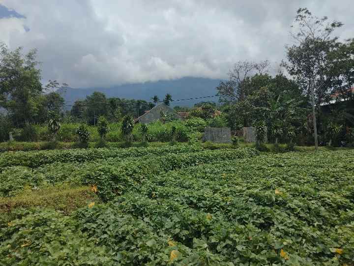 dijual tanah bandorasa kec cilimus