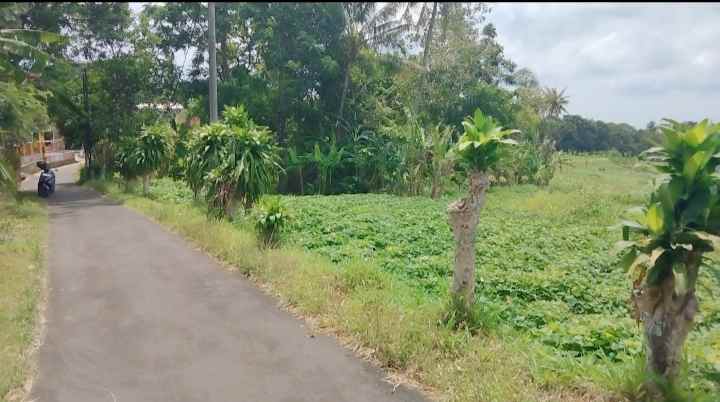 dijual tanah bandorasa kec cilimus