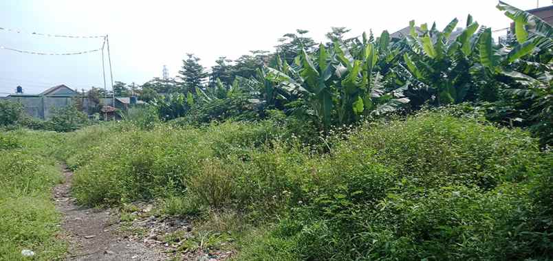 dijual tanah ciganitri