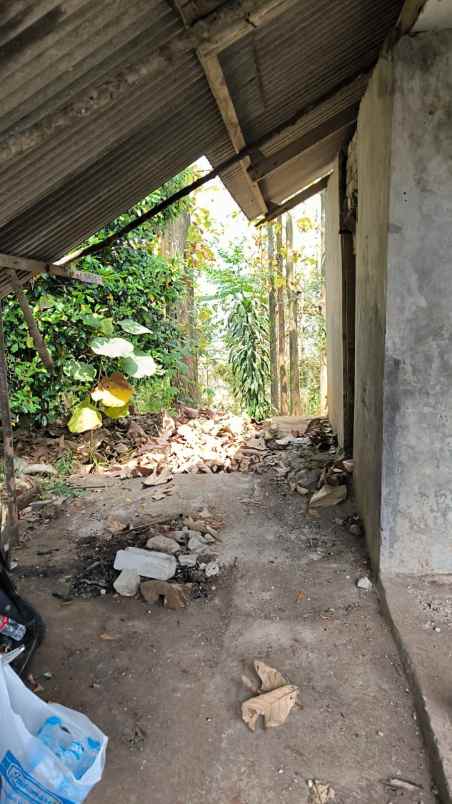 dijual tanah cijambe