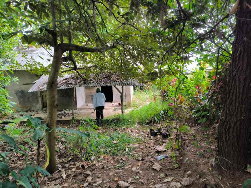 dijual tanah cijambe