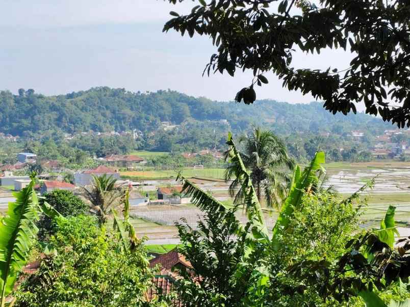 dijual tanah desa purasari