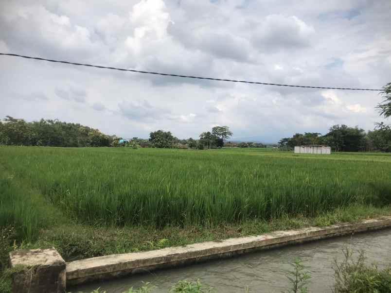 dijual tanah dijual tanah di ndungiri