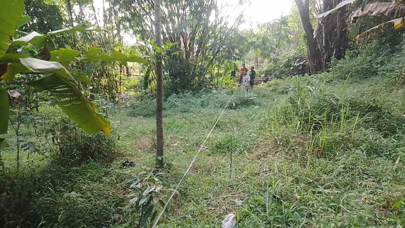 dijual tanah doplang