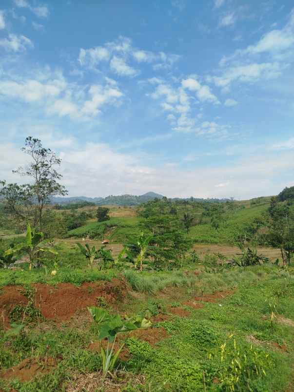 dijual tanah jalan desa pabuaran