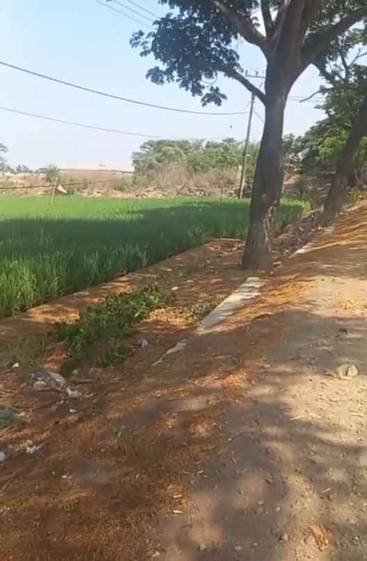 dijual tanah jalan pantura loarang