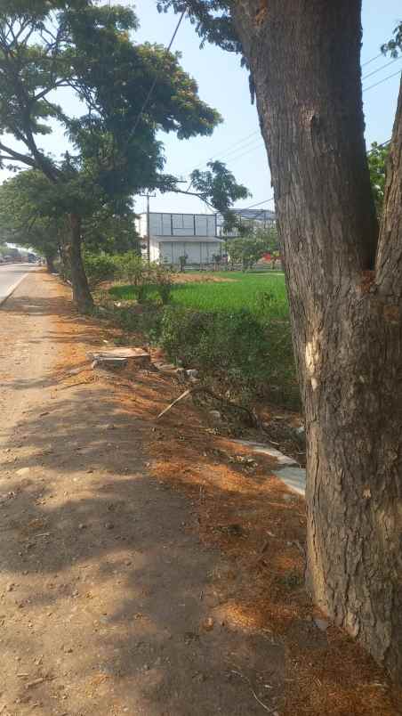 dijual tanah jalan pantura loarang