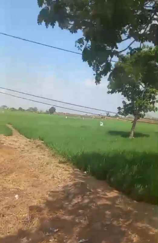 dijual tanah jalan pantura loarang