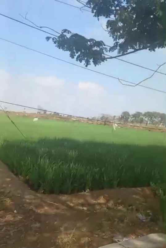 dijual tanah jalan pantura loarang