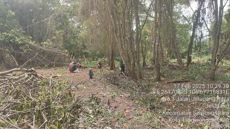 dijual tanah jl jelupang kel jelupang