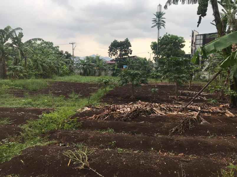 dijual tanah jl pelabuhan sukawarna