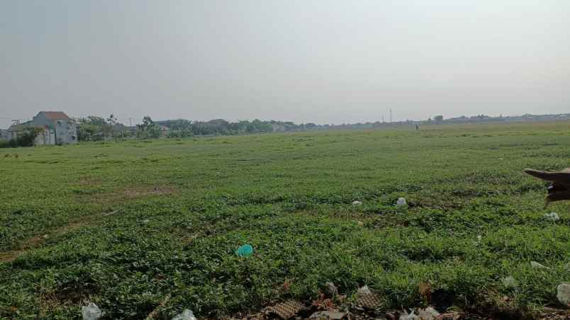 dijual tanah jl raya jagawana kab