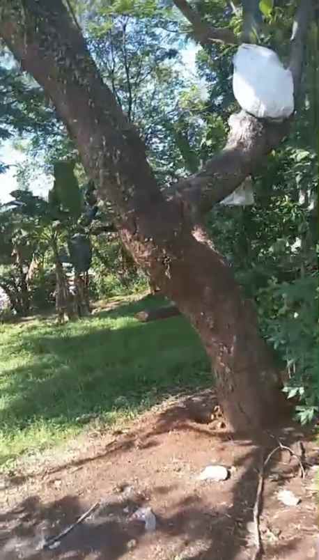 dijual tanah jl raya juanda