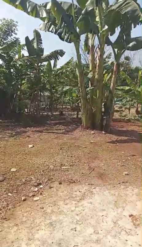 dijual tanah jl raya juanda