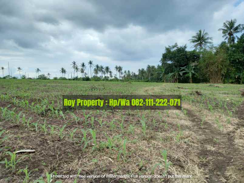 dijual tanah jl soekarno hatta kalianda