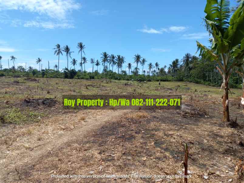 dijual tanah jl soekarno hatta kalianda