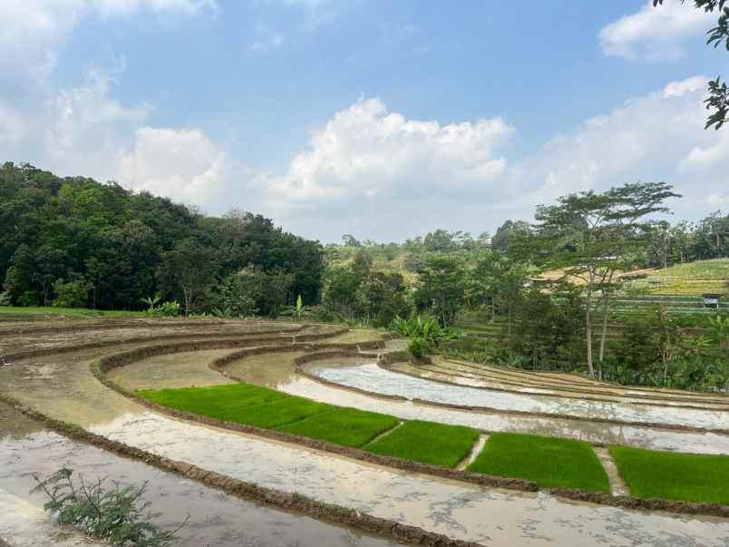 dijual tanah karangpandan karanganyar