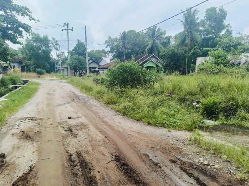 dijual tanah karya tani dusun 8