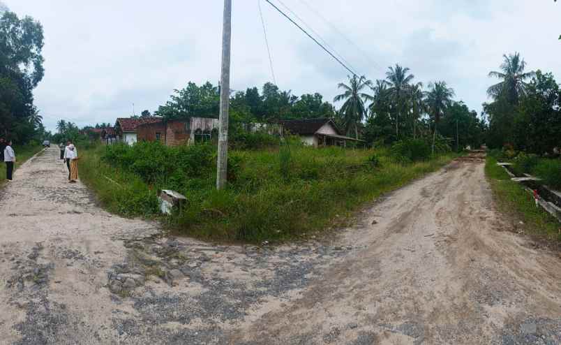 dijual tanah karya tani dusun 8