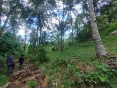 dijual tanah kebun mangatasik desa