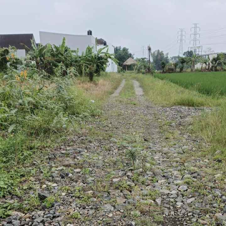 dijual tanah kedungu utara