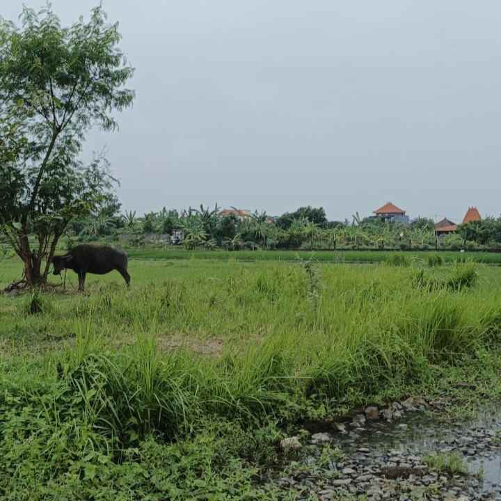 dijual tanah kedungu utara