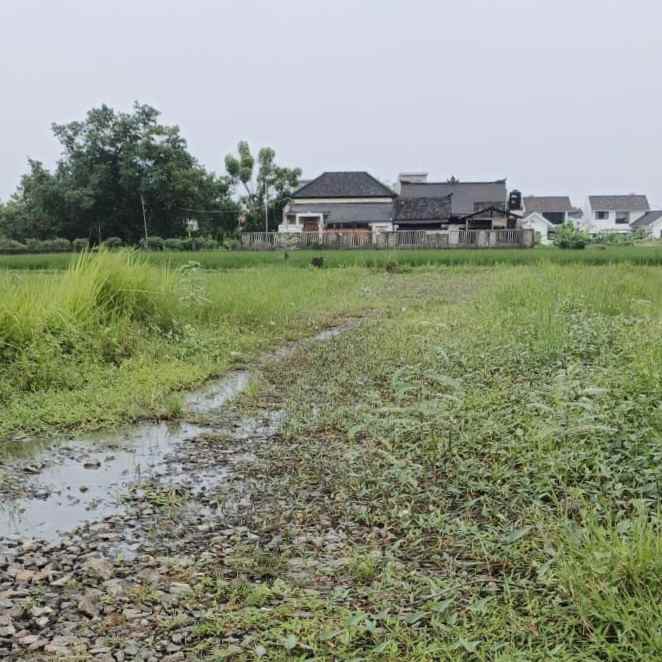 dijual tanah kedungu utara