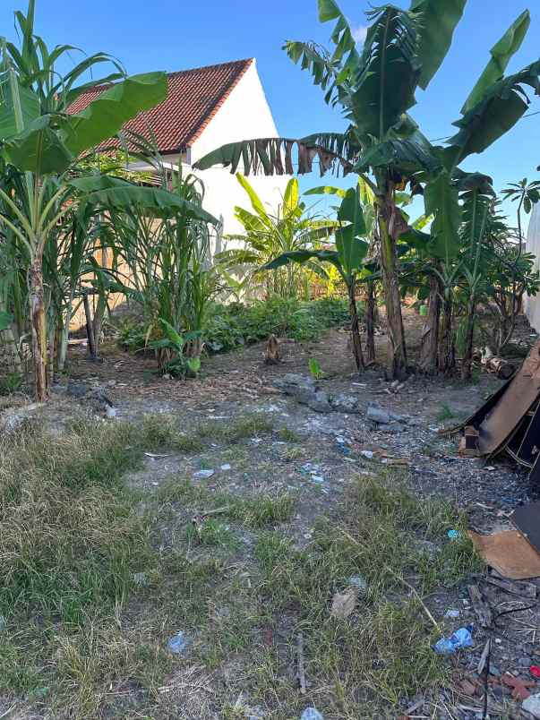dijual tanah kesiman denpasar timur