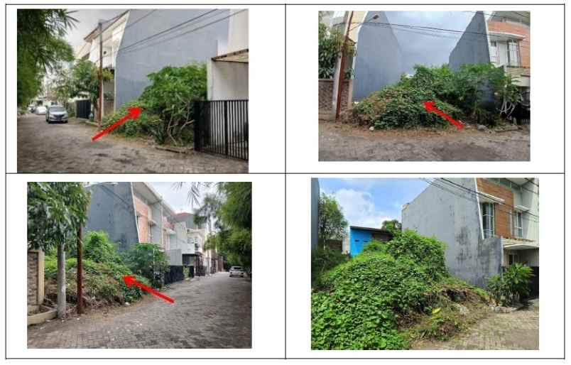 dijual tanah koala regency