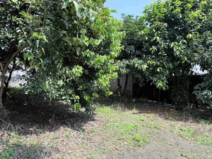 dijual tanah langensari