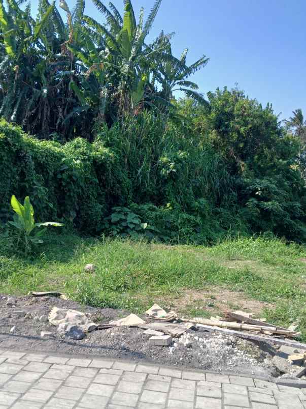 dijual tanah lukluk mengwi