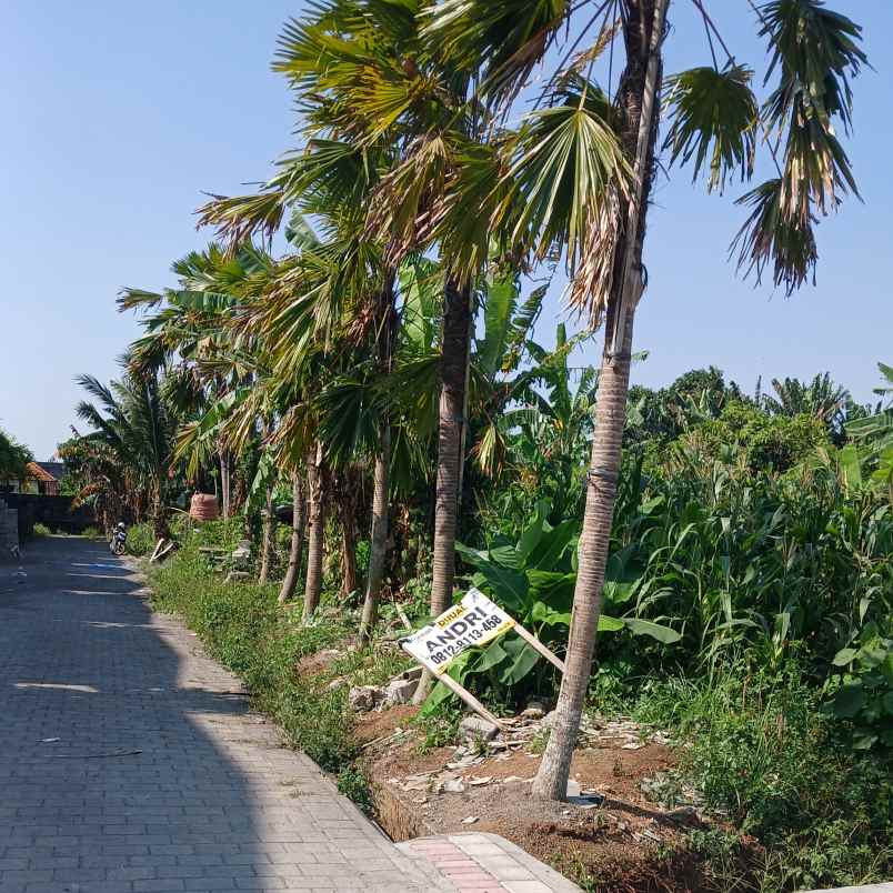 dijual tanah lukluk mengwi