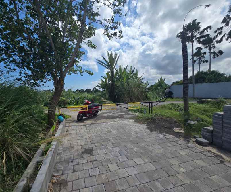 dijual tanah pantai kedungu belalang