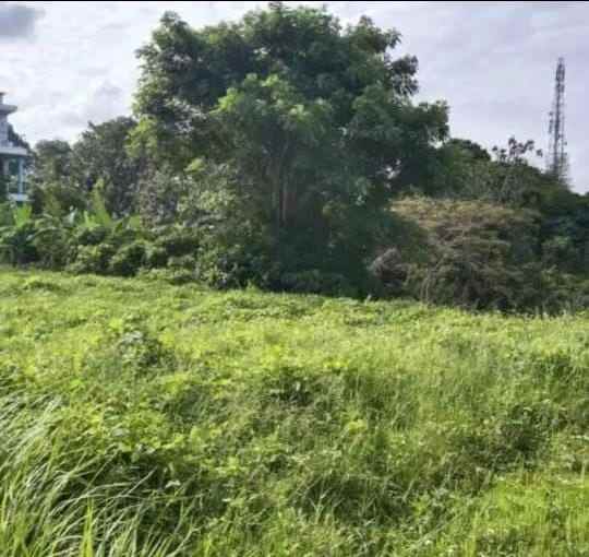 dijual tanah peguyangan kangin