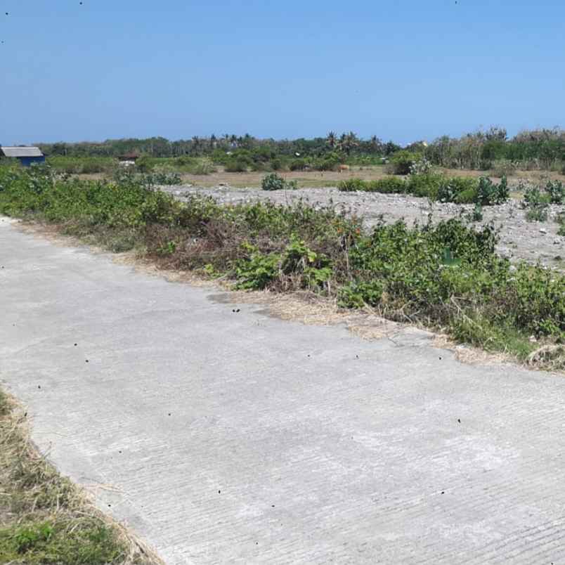 dijual tanah pengambengan