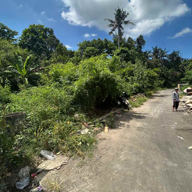 dijual tanah perum puri ayodya