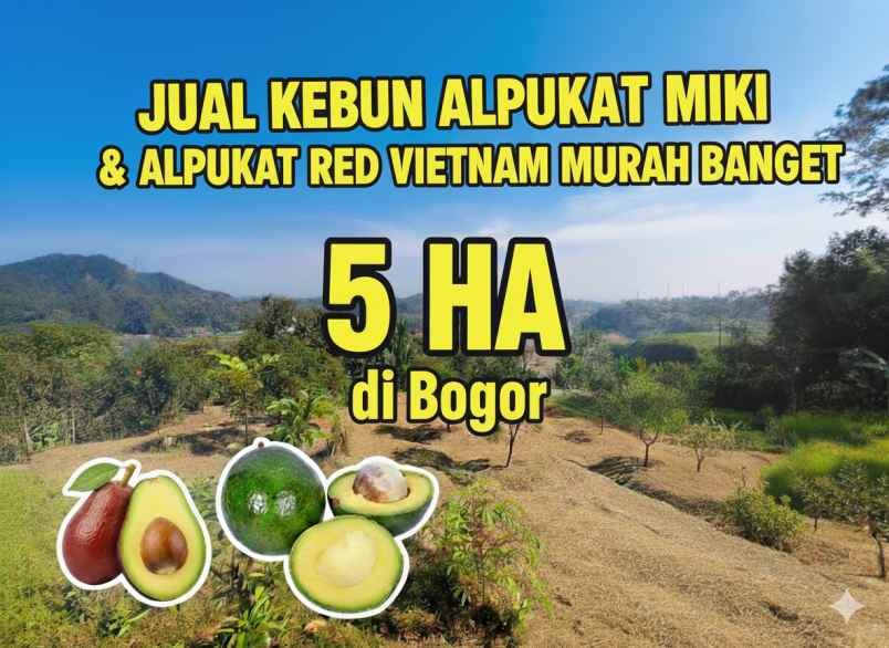 dijual tanah purasari