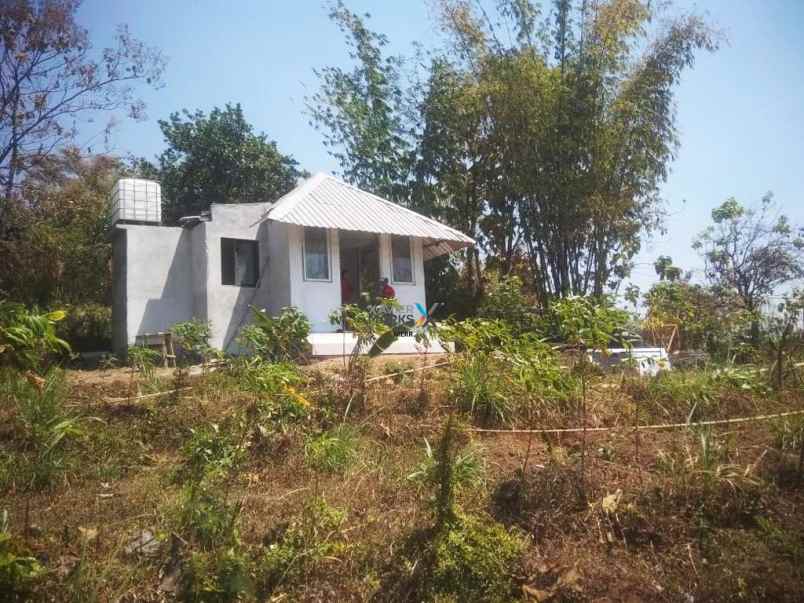 dijual tanah purwosari