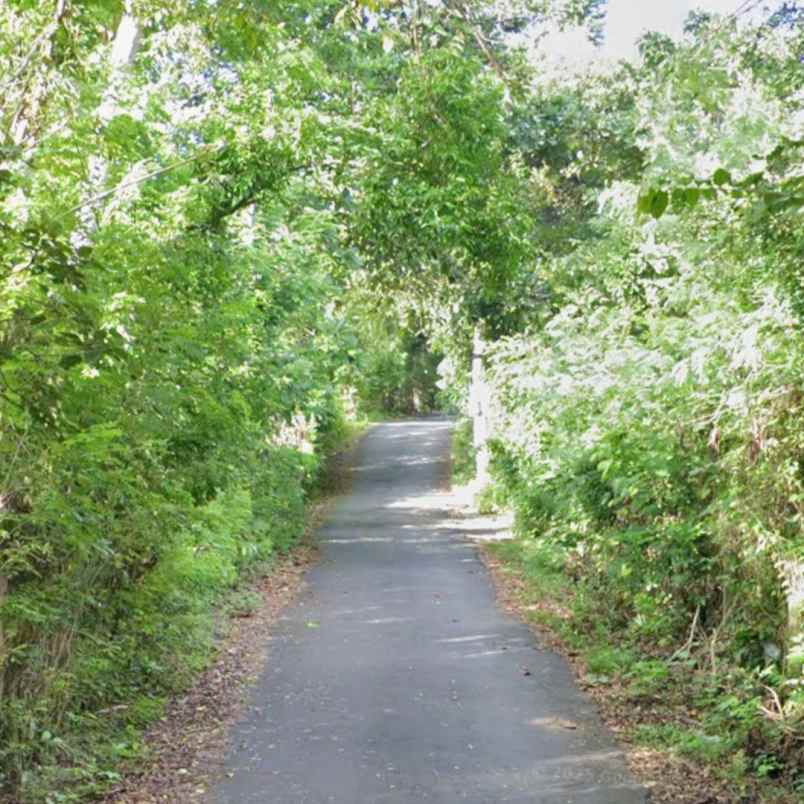 dijual tanah raya uluwatu