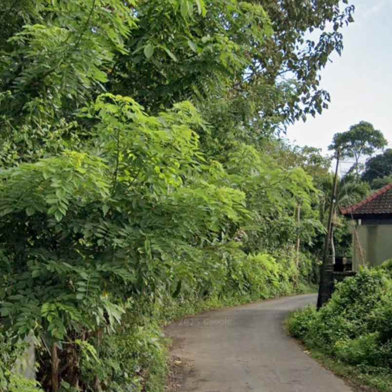dijual tanah raya uluwatu