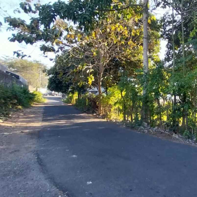 dijual tanah raya uluwatu