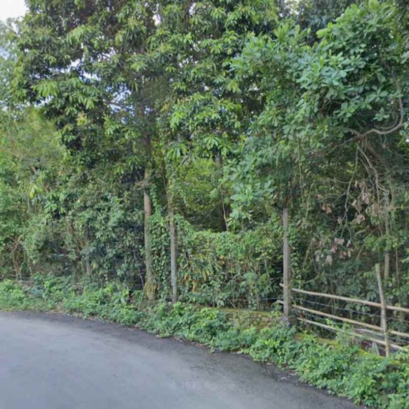 dijual tanah raya uluwatu