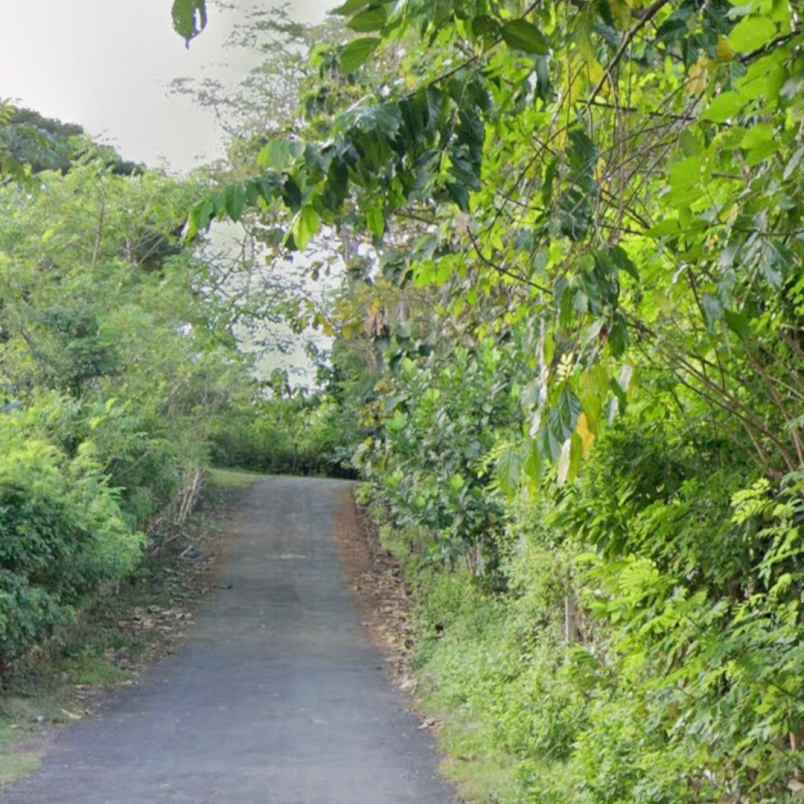 dijual tanah raya uluwatu