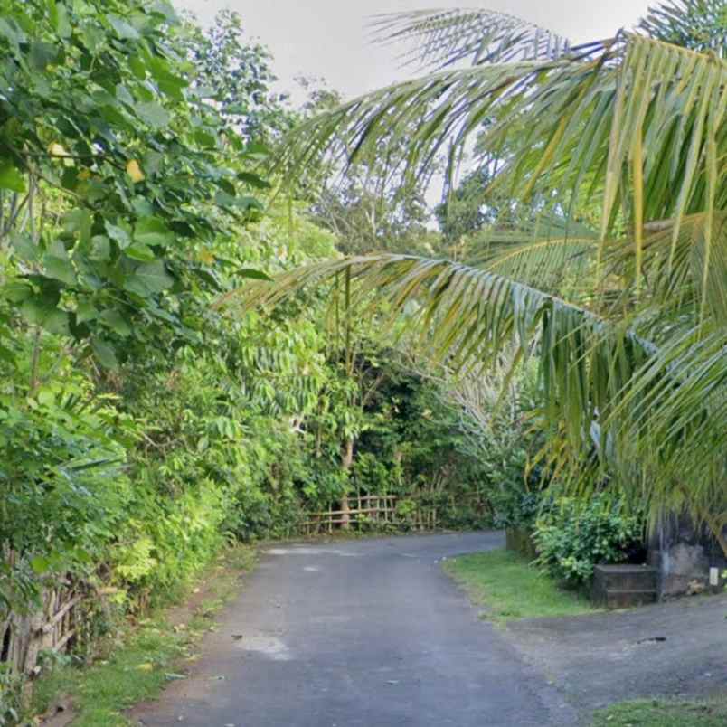 dijual tanah raya uluwatu
