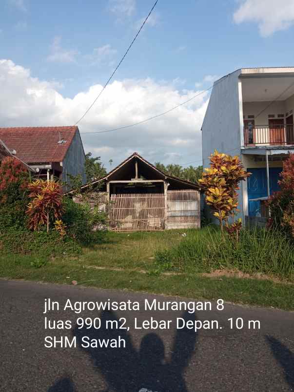 dijual tanah sawah tepi jalan belakang rsud sleman