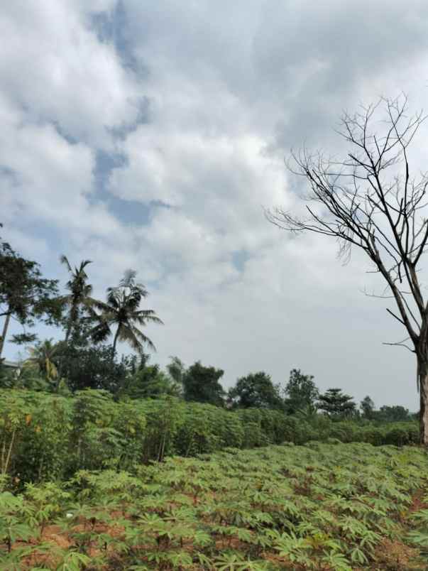 dijual tanah sentul city