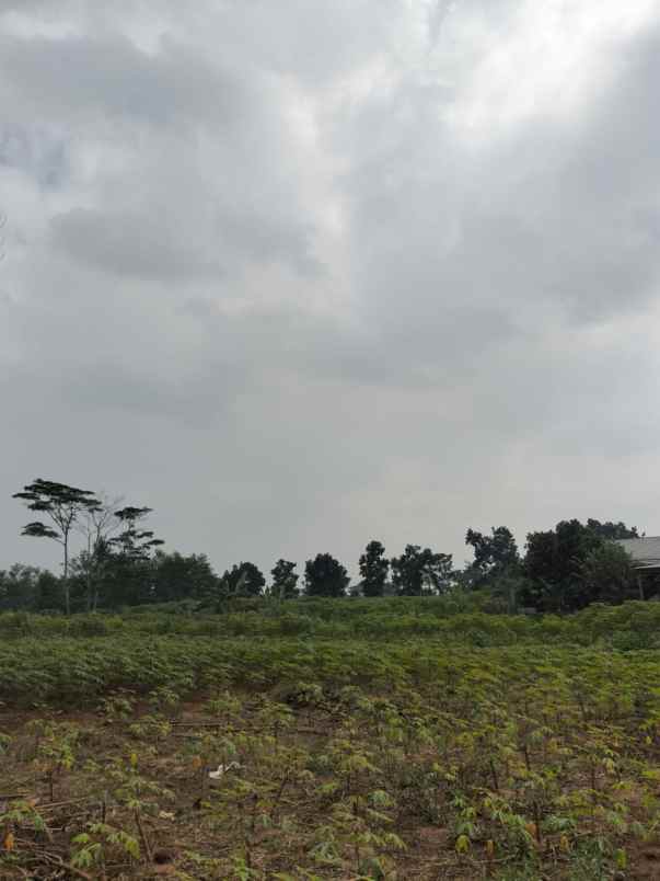 dijual tanah sentul city