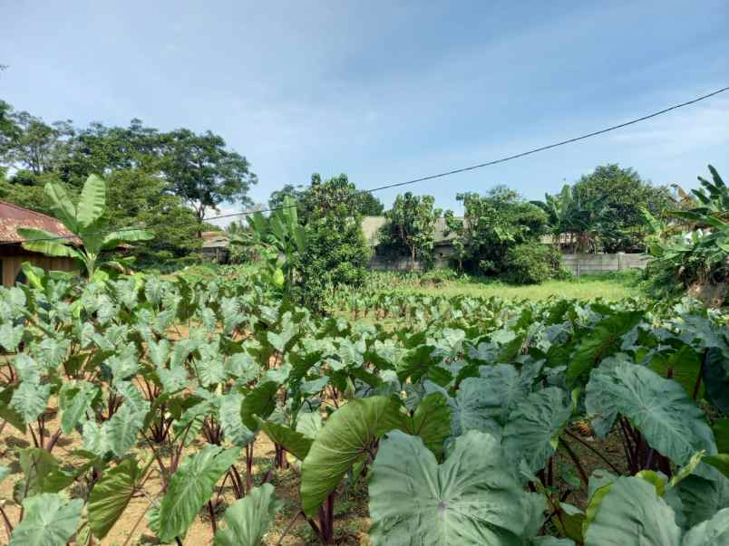 dijual tanah strategis dekat pintu tol sentul selatan