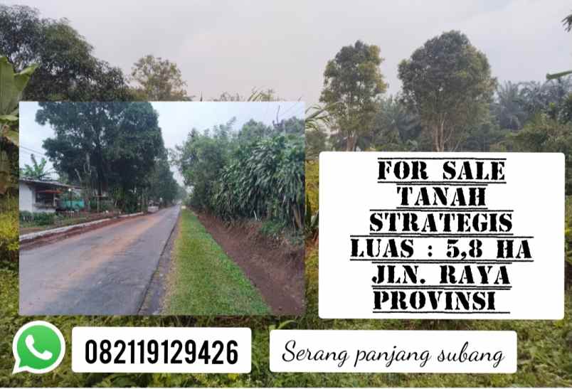 dijual tanah subang